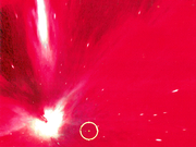 Shinseiki Evangelion: Genesis