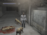 Silent Hill 4: The Room