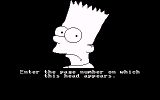 [The Simpsons: Bart vs. the Space Mutants - скриншот №7]