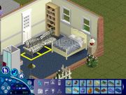 The Sims