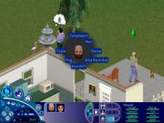 The Sims