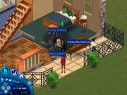 The Sims