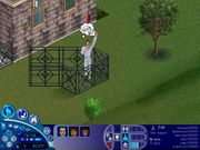 The Sims