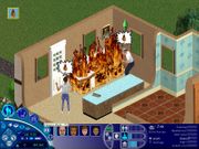 The Sims