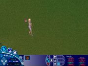 The Sims