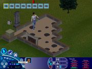 The Sims