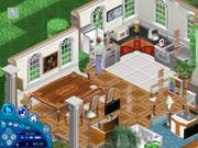 The Sims