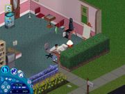 The Sims