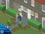 The Sims