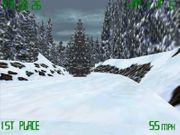 Snowmobile Championship 2000