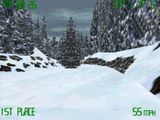 [Snowmobile Championship 2000 - скриншот №9]