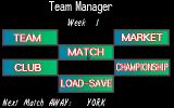 [Soccer Team Manager - скриншот №8]