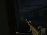 Soldier of Fortune II: Double Helix