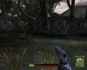 Soldier of Fortune II: Double Helix