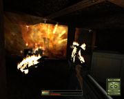 Soldier of Fortune II: Double Helix