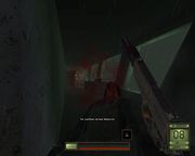 Soldier of Fortune II: Double Helix