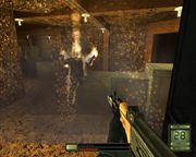 Soldier of Fortune II: Double Helix