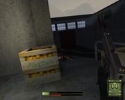 Soldier of Fortune II: Double Helix