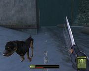 Soldier of Fortune II: Double Helix