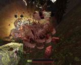 [Soldier of Fortune II: Double Helix - скриншот №63]