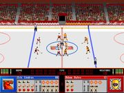Solid Ice Hockey