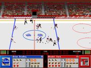 Solid Ice Hockey
