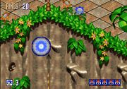 Sonic 3D: Flickies' Islands