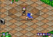 Sonic 3D: Flickies' Islands