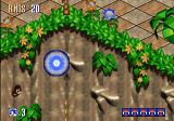 [Sonic 3D: Flickies' Islands - скриншот №5]