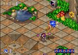 [Sonic 3D: Flickies' Islands - скриншот №9]