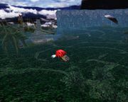 Sonic Adventure DX (Director's Cut)