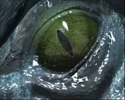 Sonic Adventure DX (Director's Cut)