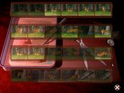 Спасти леопарда!