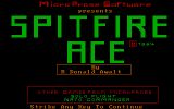 [Spitfire Ace - скриншот №1]