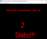 [Скриншот: Sprawdzian wiadomości z Regulaminu Amatorskiego Połowu Ryb]