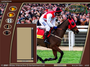 Stable Masters