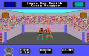 Star Rank Boxing II