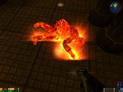 Star Trek: Elite Force II