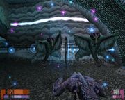 Star Trek: Voyager - Elite Force