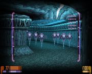 Star Trek: Voyager - Elite Force