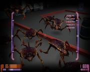 Star Trek: Voyager - Elite Force