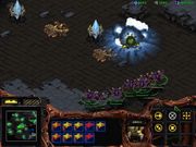 StarCraft: Brood War
