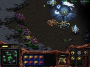 StarCraft: Brood War