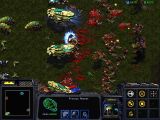 [StarCraft: Brood War - скриншот №13]
