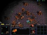 [StarCraft: Brood War - скриншот №14]