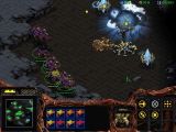 [StarCraft: Brood War - скриншот №6]
