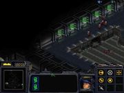 StarCraft: Insurrection