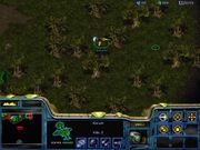 StarCraft: Retribution