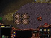 StarCraft: Retribution