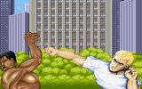 [Street Fighter II: The World Warrior - скриншот №1]